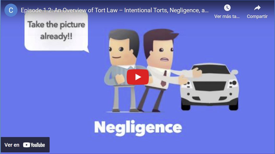 An Overview of Tort Law (USA) 📽